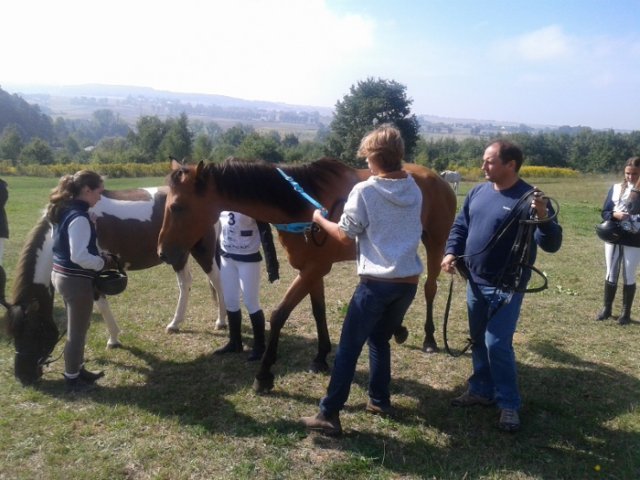 Rajd Minoga 2015